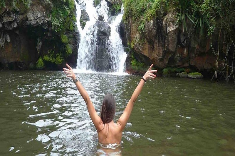 Nature